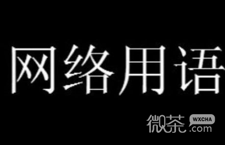 裤落冥槽梗是什么意思详情