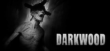 阴暗森林 Darkwood Build.13056890 官方中文 STEAM版 解压即撸【2.4G】