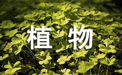 植物实习心得体会