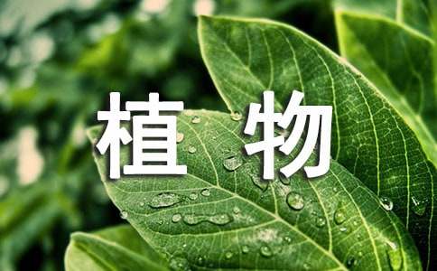 植物实习心得体会